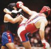 quest_ce_que_le_sanda1[1].jpg