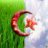 رابح44